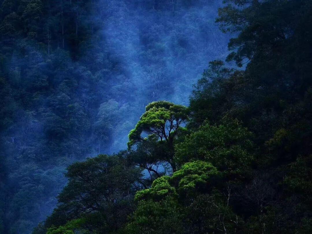 救援小棕兔