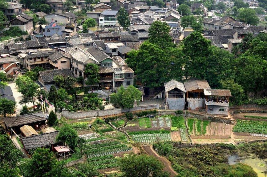 滴滴出行科技有限公司大庆分公司被罚款2万元